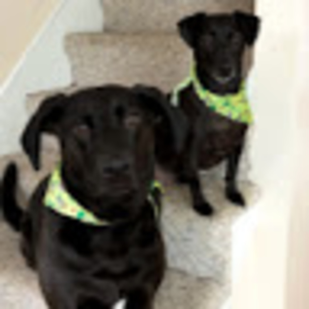 Meet your Posher, Caleigh